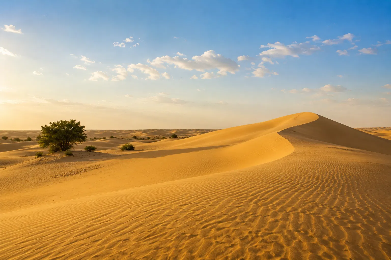 Golden sand dunes of the Thar Desert in Rajasthan