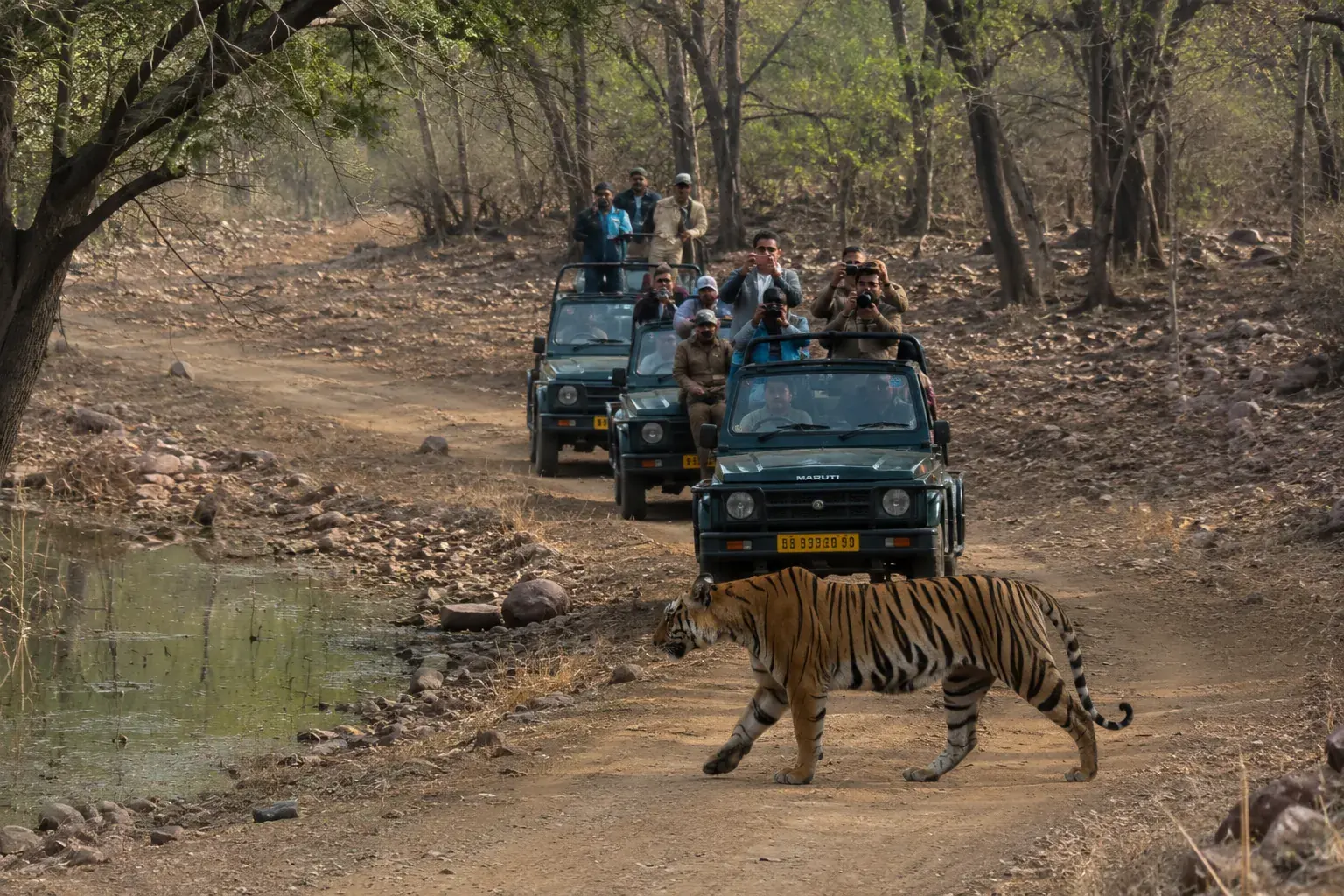 Ranthambore safari — Rajasthan Family Holiday Tour